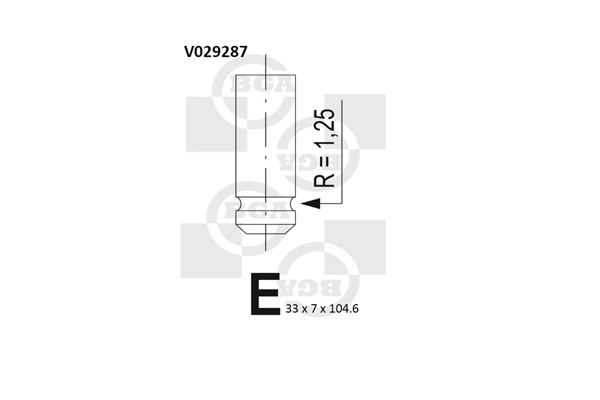 Intake Valve