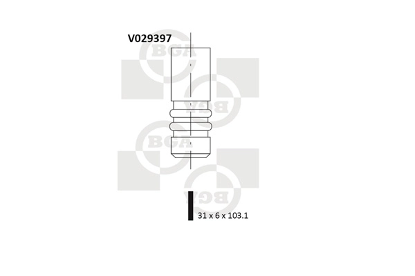 Intake Valve