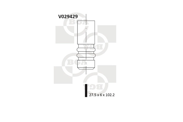 Exhaust Valve