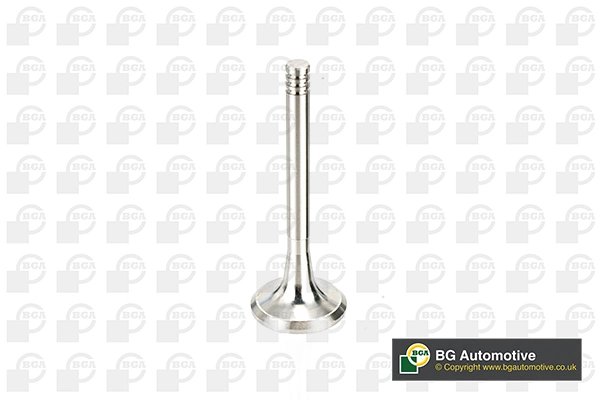 Exhaust Valve