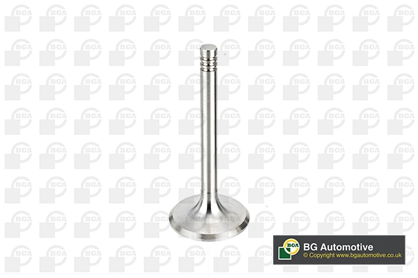 Intake Valve
