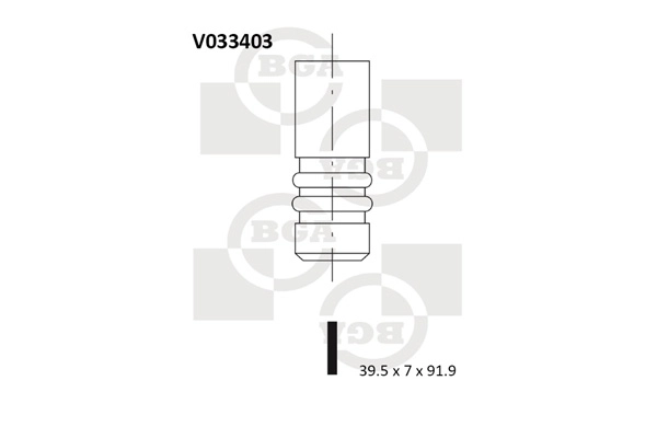 Intake Valve