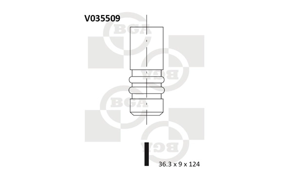 Exhaust Valve