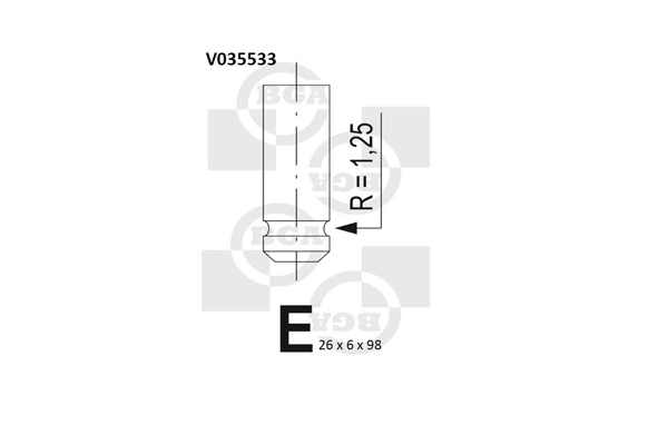 Intake Valve
