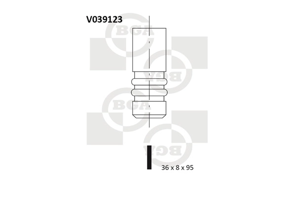 Intake Valve