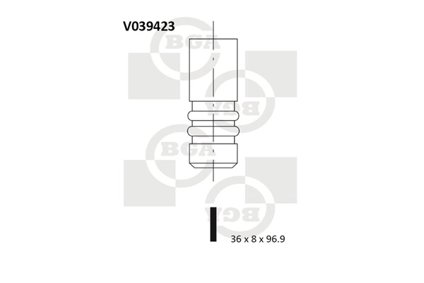 Intake Valve