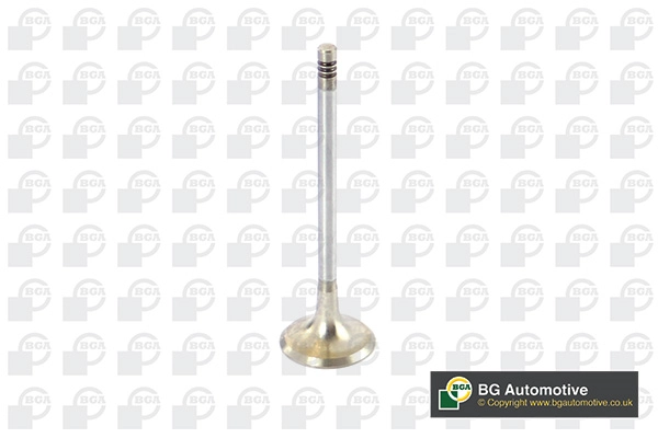 Exhaust Valve