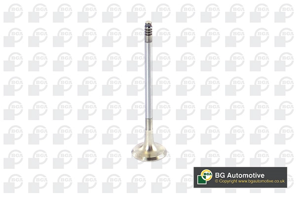 Exhaust Valve