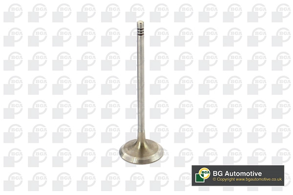 Intake Valve