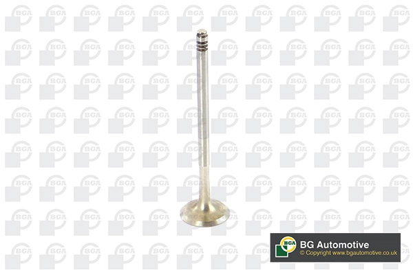 Exhaust Valve