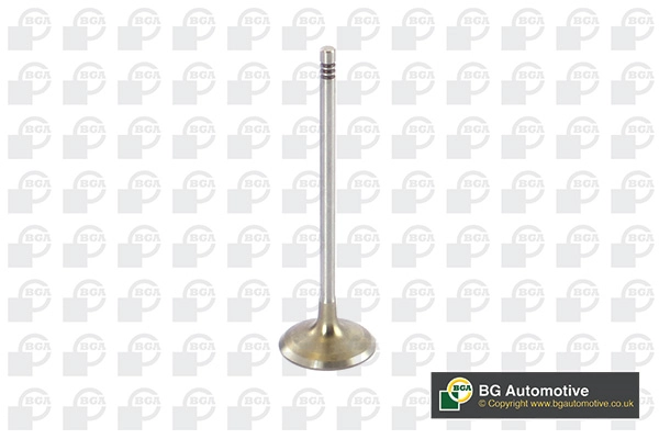 Intake Valve
