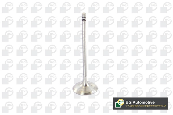 Intake Valve