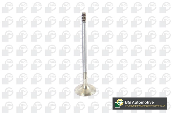 Exhaust Valve
