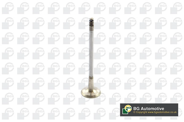 Exhaust Valve