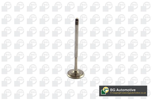 Intake Valve