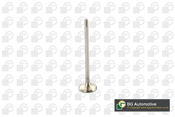Exhaust Valve