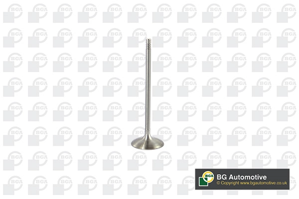 Intake Valve