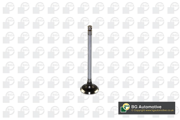 Intake Valve