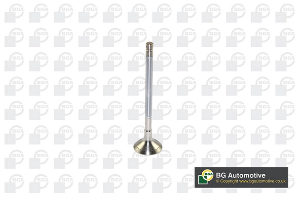 Exhaust Valve