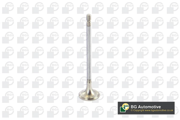 Exhaust Valve