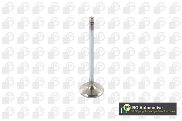 Intake Valve