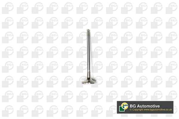 Exhaust Valve