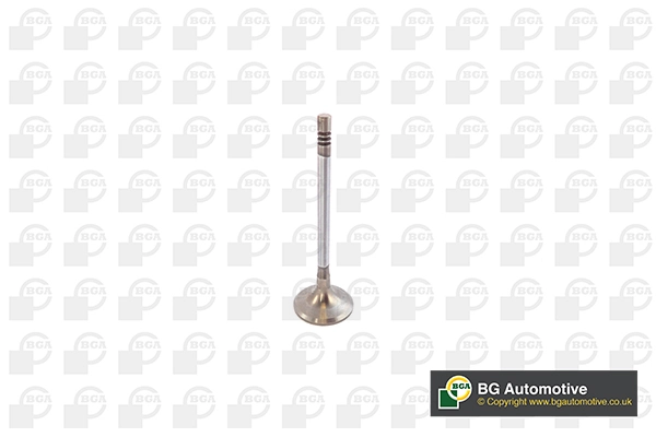 Intake Valve