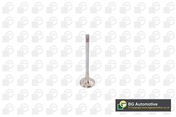 Exhaust Valve