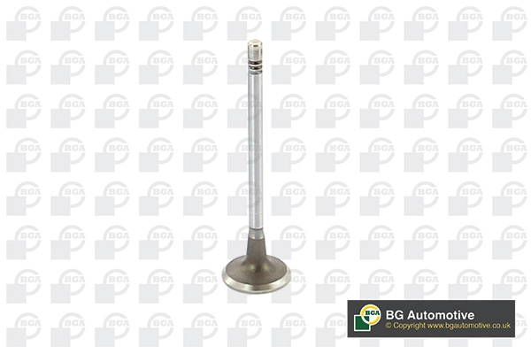 Intake Valve