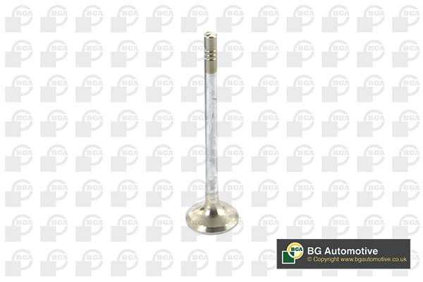 Exhaust Valve