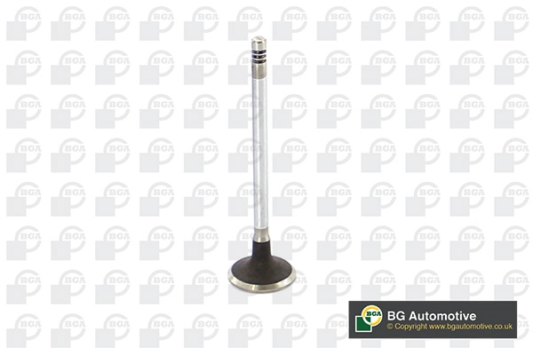 Intake Valve