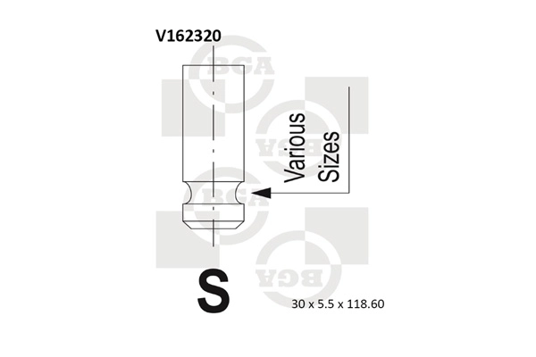 Intake Valve