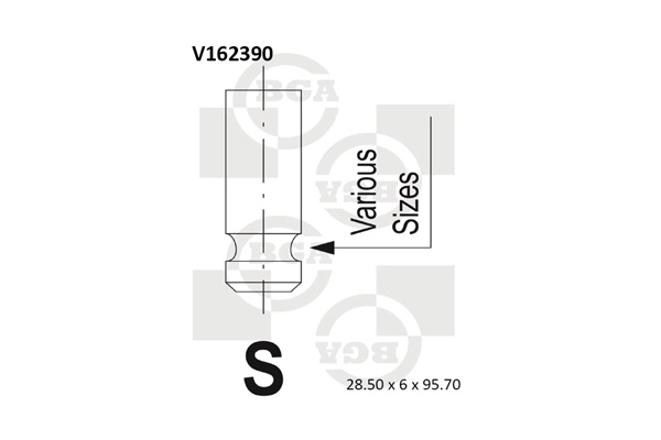 Intake Valve