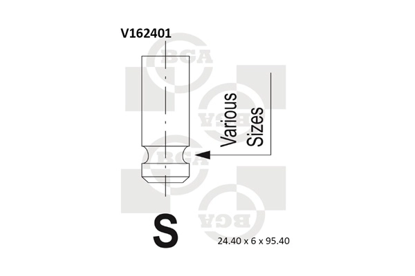 Exhaust Valve