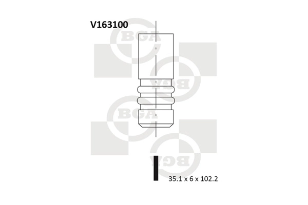 Intake Valve