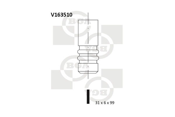 Intake Valve