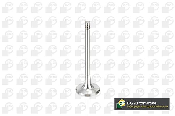 Intake Valve