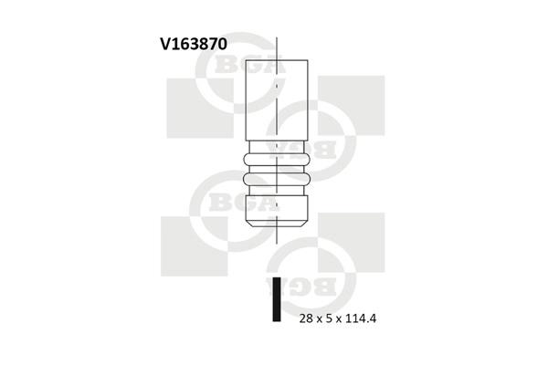 Intake Valve