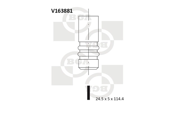 Exhaust Valve