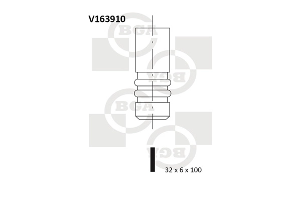 Intake Valve