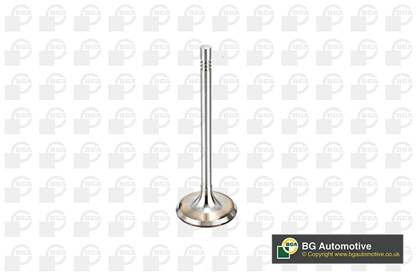 Intake Valve