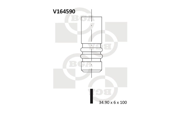 Intake Valve