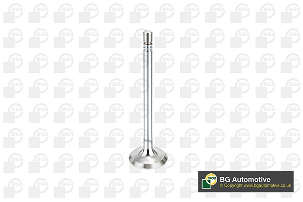 Intake Valve