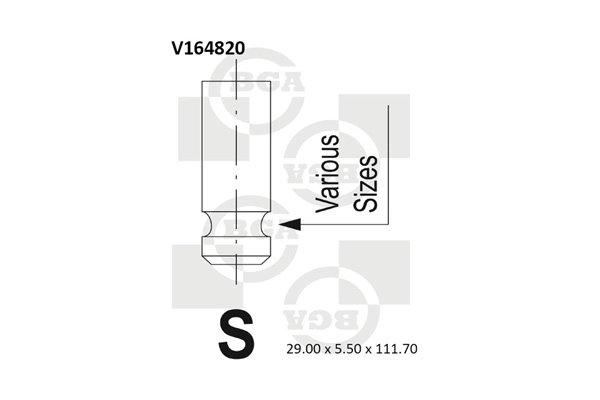Intake Valve