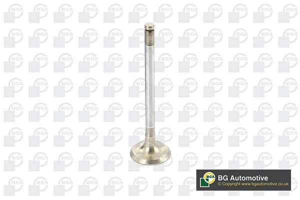 Exhaust Valve