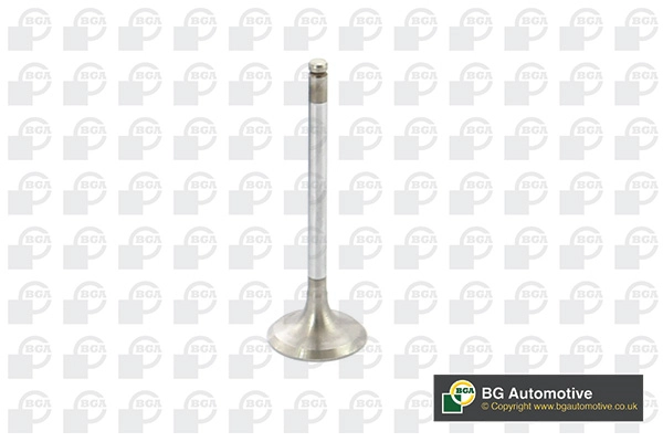 Intake Valve