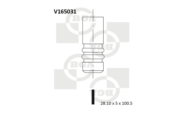 Exhaust Valve