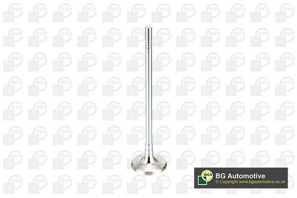 Exhaust Valve