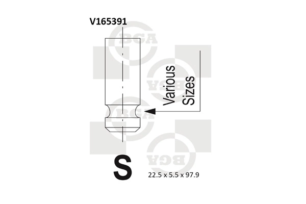 Exhaust Valve