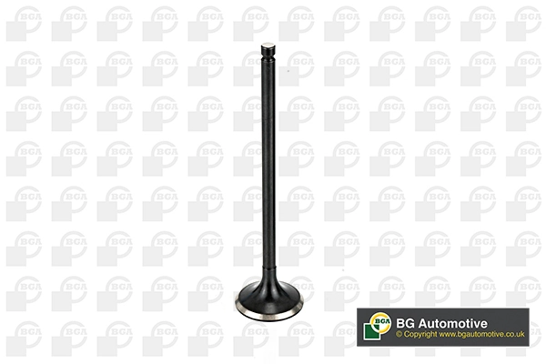 Exhaust Valve